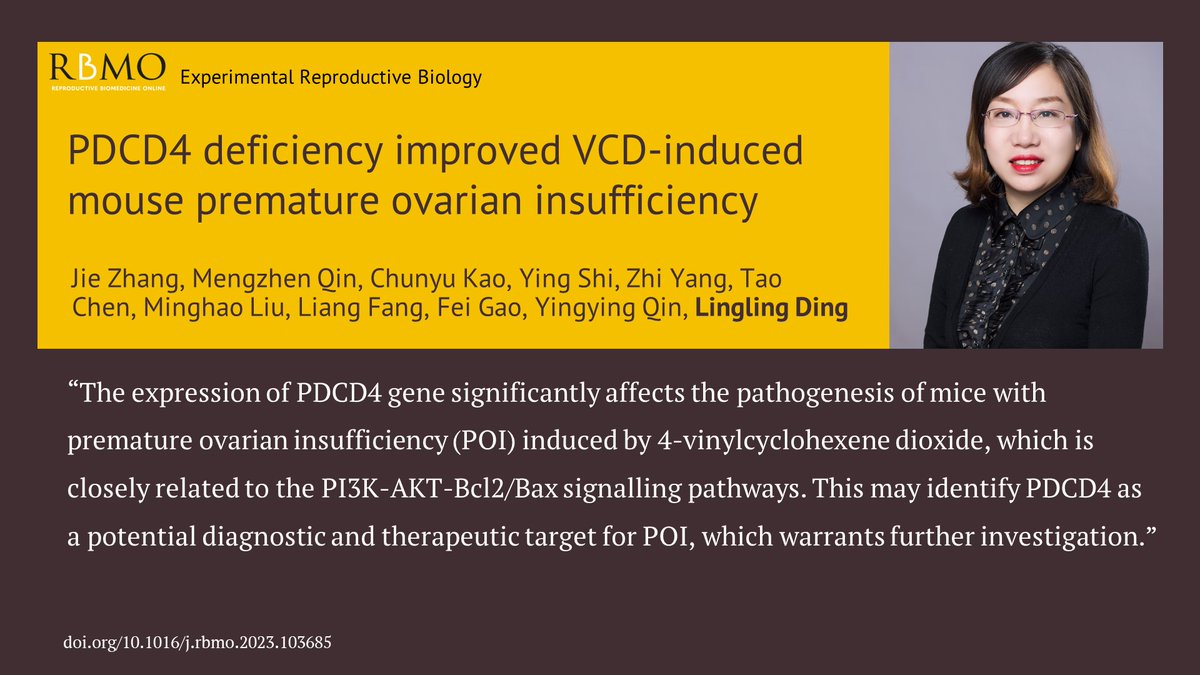 This study into the role of PDCD4 in the pathogenesis of premature ovarian insufficiency adds to our understanding of the formation of POI and potential therapeutic interventions. doi.org/10.1016/j.rbmo…