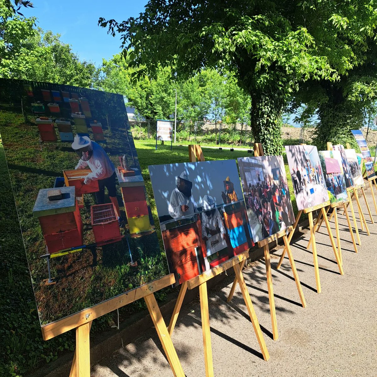 udas_udasrs's tweet photo. 🐝Svjetski dan pčela uz izložbu i degustaciju pčelinjih proizvoda🐝
#WordBeeDay
@ITFsi @KISinstitut @Vlada_Srpske
https://t.co/mmWZkku795 https://t.co/EDmfMR9UQm