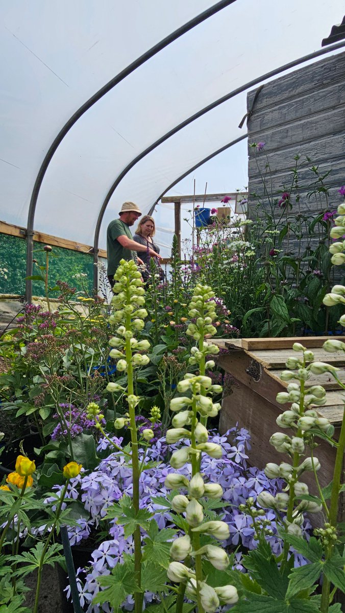 A Year of Reasons to Visit the Moorlands (@visitmoorlands) on Twitter photo At the time of writing this column, <a href="/ProctorsNursery/">🌺 Proctor's Nursery 🌸</a> are at the Chelsea Flower Show again with a display focusing on bee preservation, which I was fortunate enough to have a sneak peak of on a recent visit. At the time of writing this column, <a href="/ProctorsNursery/">🌺 Proctor's Nursery 🌸</a> are at the Chelsea Flower Show again with a display focusing on bee preservation, which I was fortunate enough to have a sneak peak of on a recent visit.