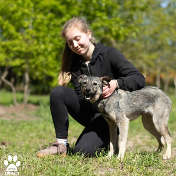 Śliczny🐶Bingo szuka kochającego🏡Ma zaledwie 4 lata.Ten piękny młodzieniec to wulkan pozytywnej energii😍Długie zabawy to jego specjalność! Choć na początku bywa nieśmiały,wystarczy dać mu chwilkę, aby szybko pokazał swój przemiły charakter!  
W sprawie adopcji: 721-440-005