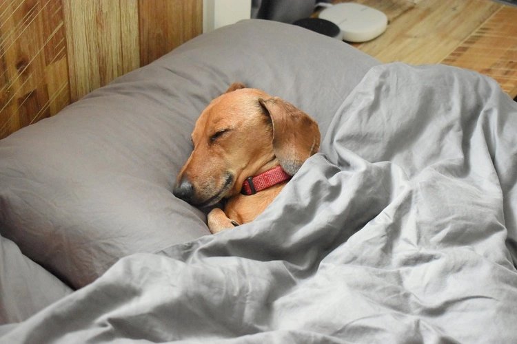 TeamBSK_'s tweet image. POV : @EsportJupitar à l'heure du premier match :

Et... @CraZeVal qui pensait que le rendez-vous pour le premier match d'OTF était à 12h, heure britannique...