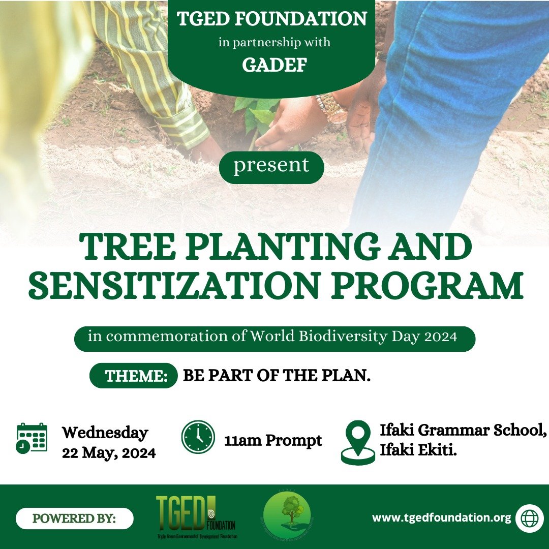 Join us in commemorating #WorldBiodiversityDay2024! TGED Foundation, in partnership with GADEF, is hosting a sensitization and tree planting program at Ifaki Grammar School by 11 a.m. #BiodiversityDay2024 #BePartOfThePlan @UNBiodiversity @Debiwumi @ekititrends @aynigeria_