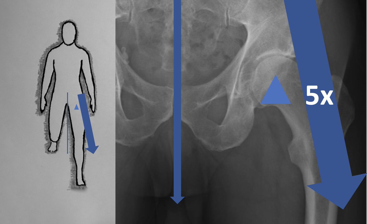 LifetimeHip tweet media