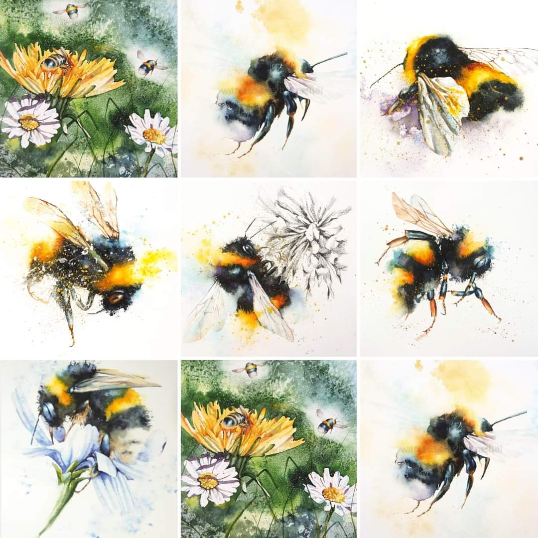 If you like bees I have an abundance of bees on my website watercoloursbyrachel.co.uk #worldbeeday #bees #savethebees #watercolour #wildlife #painting #artist #bumblebees #Devon #pollinators #Gardens #chelseaflowershow #inspiration #art #painting #artist #paint