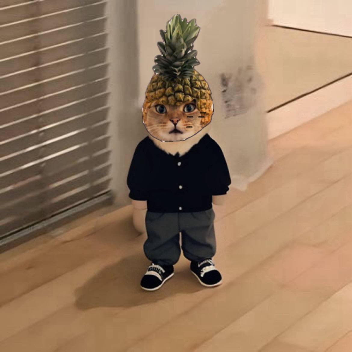 Pineapple Cat 🍍🐱 tweet media