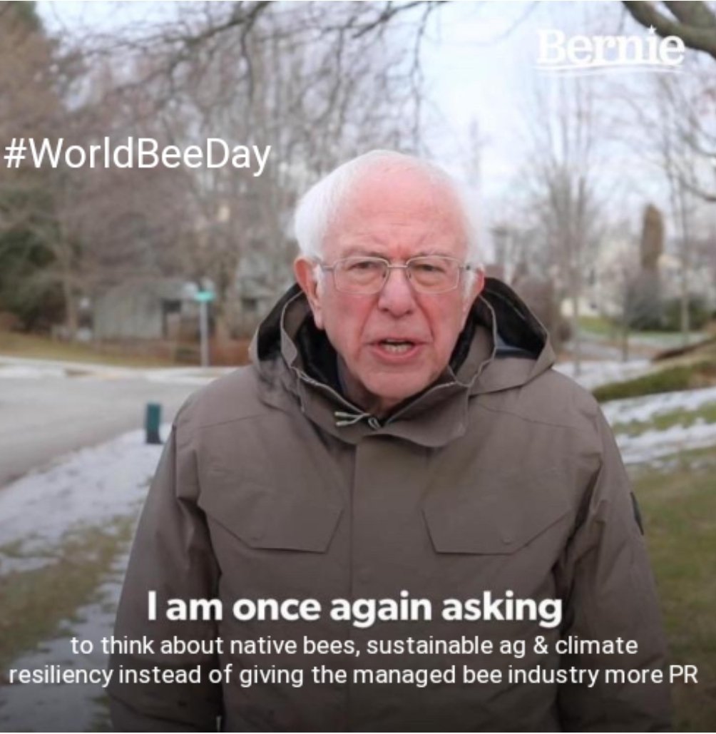 Happy #WorldBeeDay Let's be sure to think about climate resiliency, biodiversity conservation & sustainable agriculture on this day and every day!!!