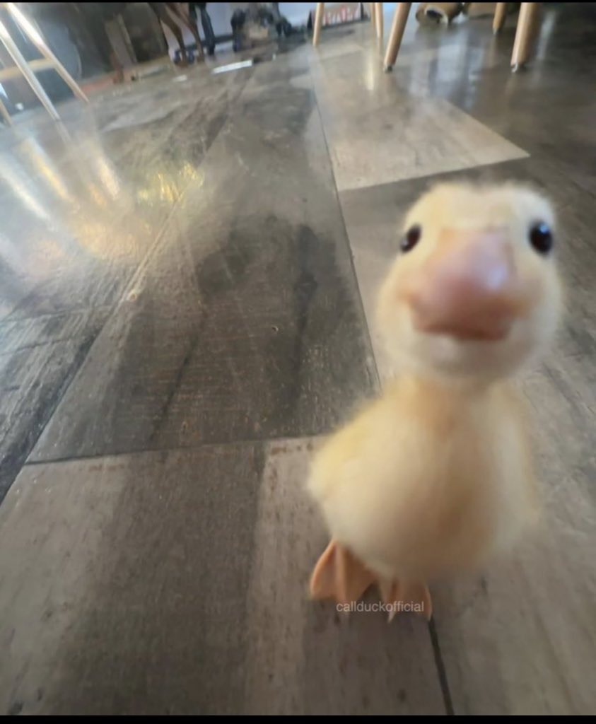 میشه به جای پنج روز عزای عمومی پنج روز تعطیلی داشته باشیم.