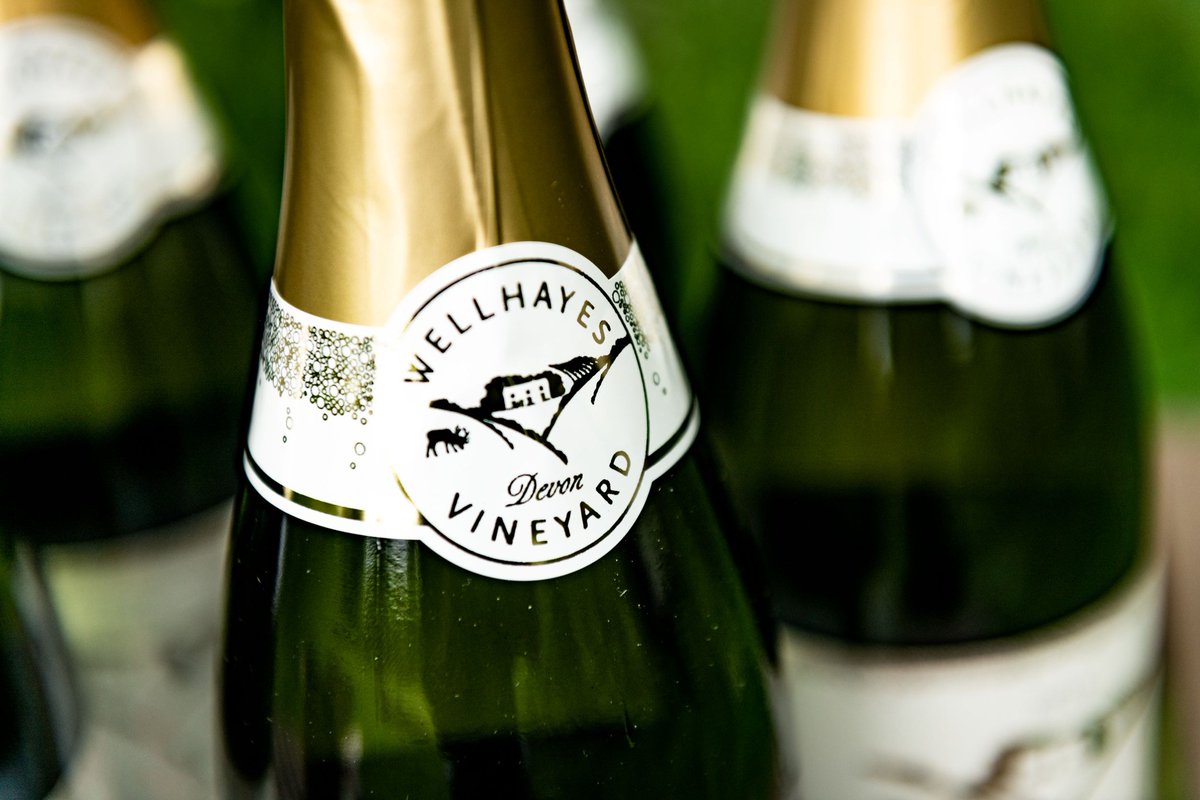 𝗪𝗲𝗹𝗹𝗵𝗮𝘆𝗲𝘀 𝟮𝟬𝟭𝟵 𝗩𝗶𝗻𝘁𝗮𝗴𝗲 𝗟𝗮𝘂𝗻𝗰𝗵 𝗣𝗮𝗿𝘁𝘆! 🥂🍾@WellhayesWine are launching a new vintage of their award-winning sparkling wine on Saturday 25th May at 12.30pm. Further details and tickets can be found at >> wellhayesvineyard.co.uk/party