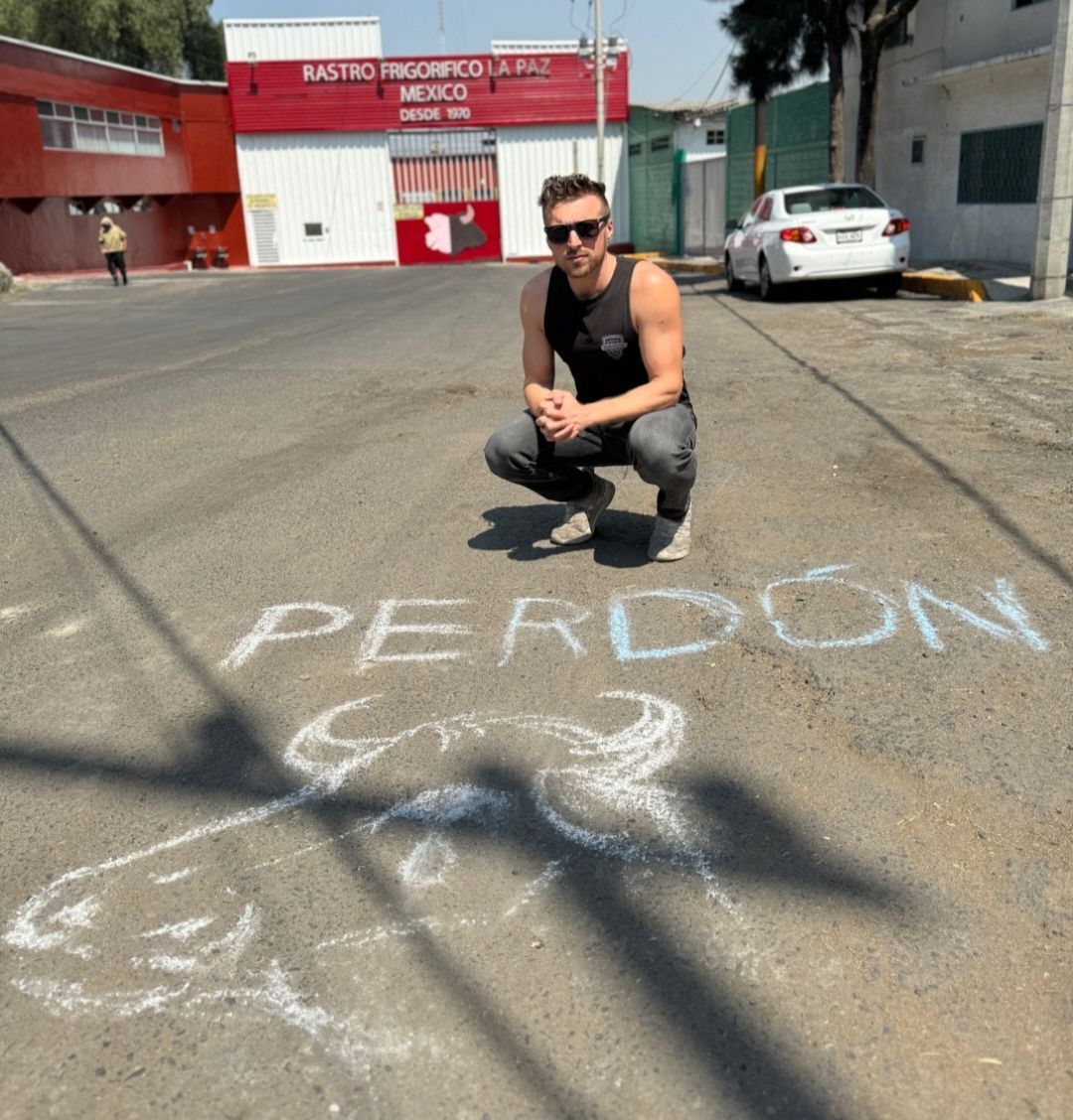 'Sorry.' A pic I took outside a slaughterhouse in Mexico while trucks rolled in full of cows were only minutes from being slaughtered. 'Perdón' ('Sorry') was all that myself and CDMX Animal Save could think to say to these innocent animals. 💔