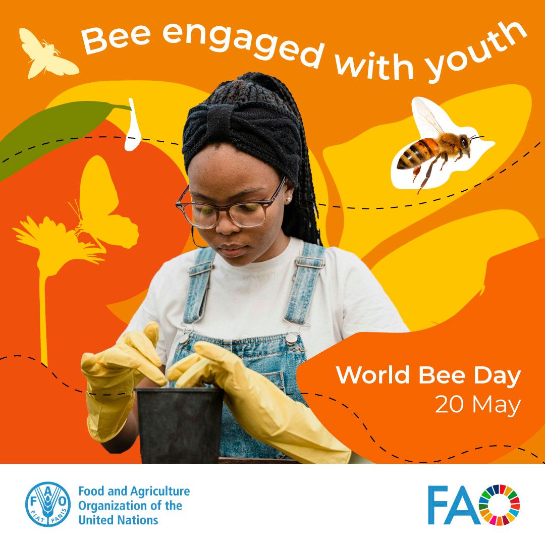 Close to 75 percent of the world’s major crops benefit from pollinators, particularly fruits, vegetables and nuts. Pollinators such as bees, birds & bats, contribute to 35% of the world’s total crop production, pollinating 87 of 115 leading food crops worldwide. #WorldBeeDay