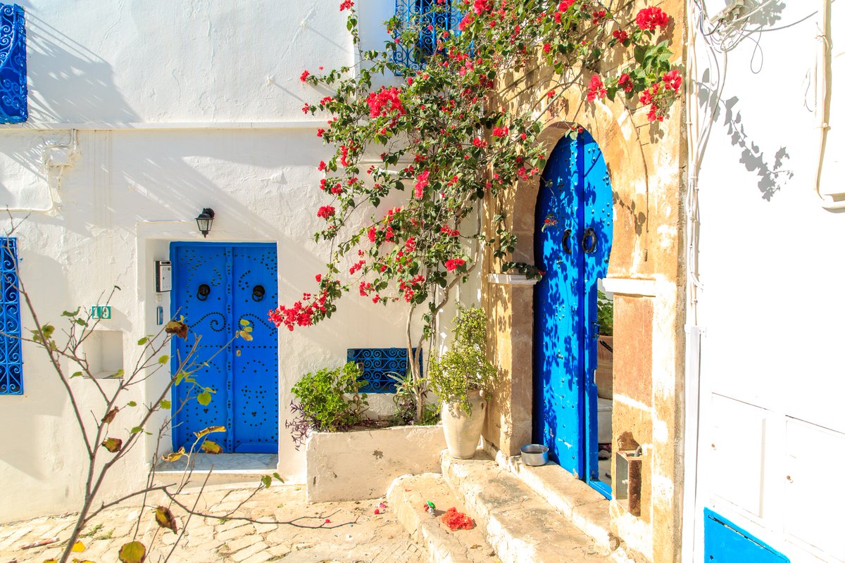 While Tunisia will easily tempt you towards its wide sun-baked beaches, it has plenty to show off away from its sand and sea. @APlanToGo shares seven cultural sights to lure you from your lounger here 🇹🇳 weather2travel.com/blog/tunisia-c… @DiscoverTUN #Tunisia