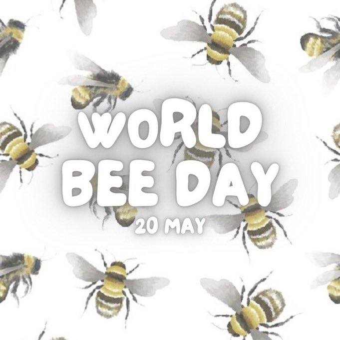 🐝🐝 #WorldBeeDay 🐝🐝

Saving Democracy Won’t Matter If We Don’t Also #SaveTheBees 🐝🐝

Please Sign Petition To Ban Pesticides 
👉change.org/SaveTheBee 🐝🐝

Please follow @BeeAsMarine who works non-stop to educate us on the importance of saving 🐝🐝🐝

#IfTheyDieWeDie 🌷🐝🪴