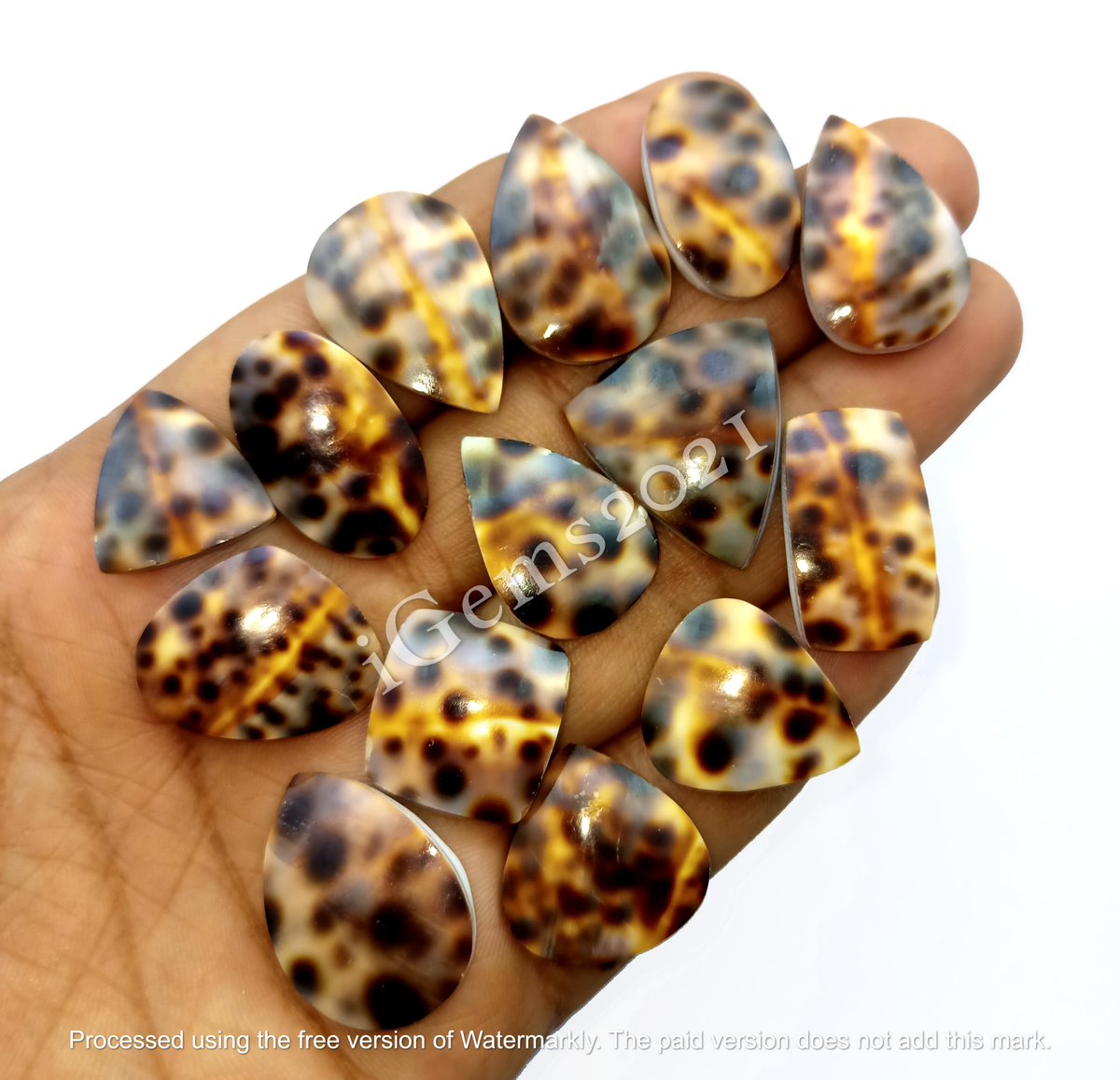 Natural Leopardskin Shell Cabochon lot, gemstone Jewelry

DM For Price
Size 15 to 35mm Approx
Free Drilling Service
Shipping$6 Combine Shipping Available

#leopardskin #leopardskinshell #shell #shelljewelry #shellearrings #leopard #leopardgemstone #leopardcabochon