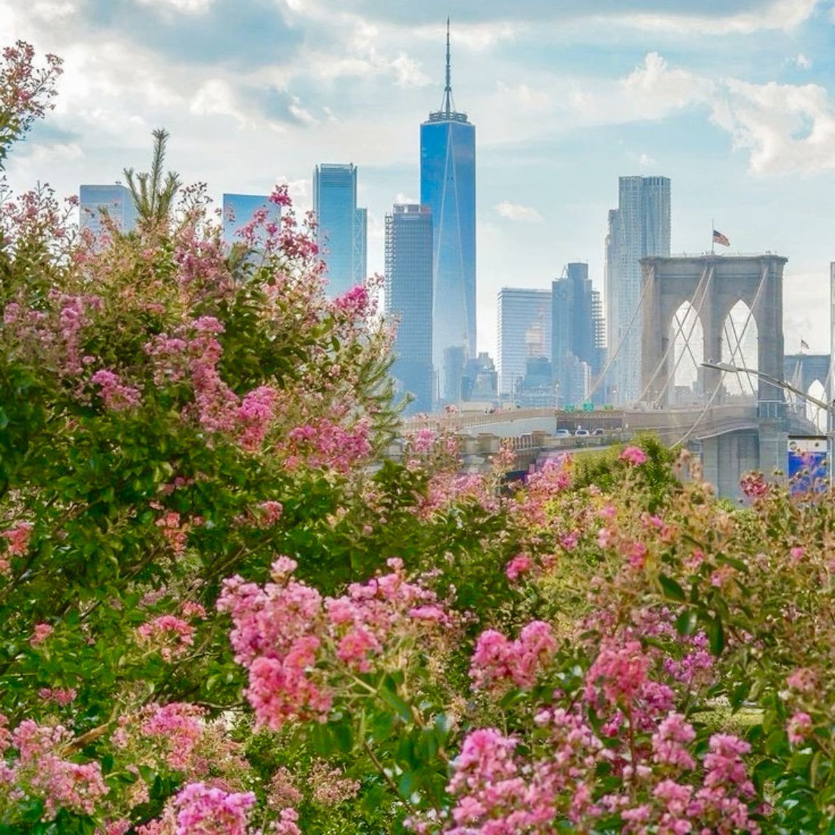 FabAtAnyAge's tweet photo. Good morning New York City! 
It’s Motivational Monday!
Remember: “YOUR LIFE
ISN'T YOURS IF YOU ALWAYS CARE WHAT
OTHERS THINK!”😉
#IL❤️veNY🍎
#SuccessInTheCity
#KeepOnMoving
#StayPositive
#luxuryrealestate
#coldwellbankerwarburg
https://t.co/Q6qY6iAF7X
Andrea.wernick@cbrealty.com https://t.co/VCea44NXBQ