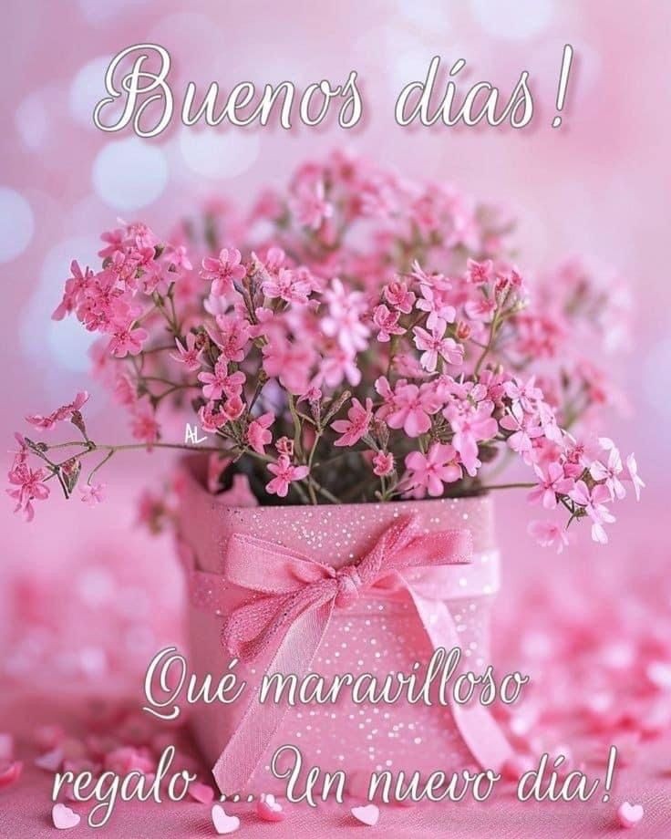 #BuenosDías 🩷🩷🩷

               ... #FelizLunes 🌺