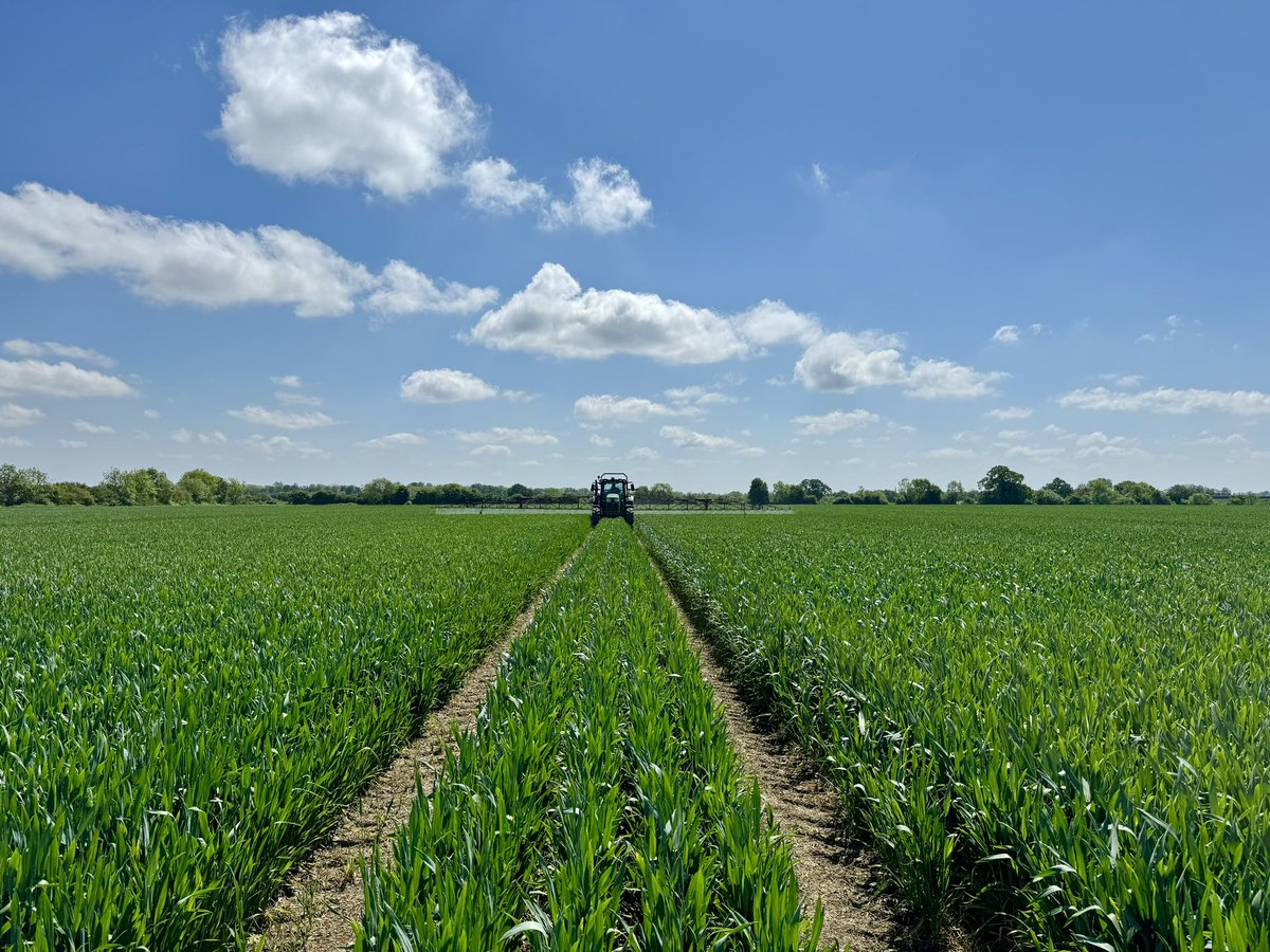 Ed Schofield tweet media