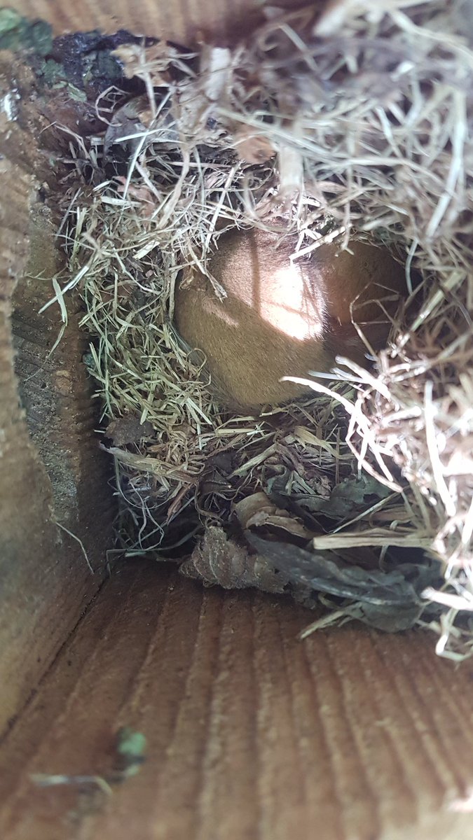 Lorna Griffiths tweet media