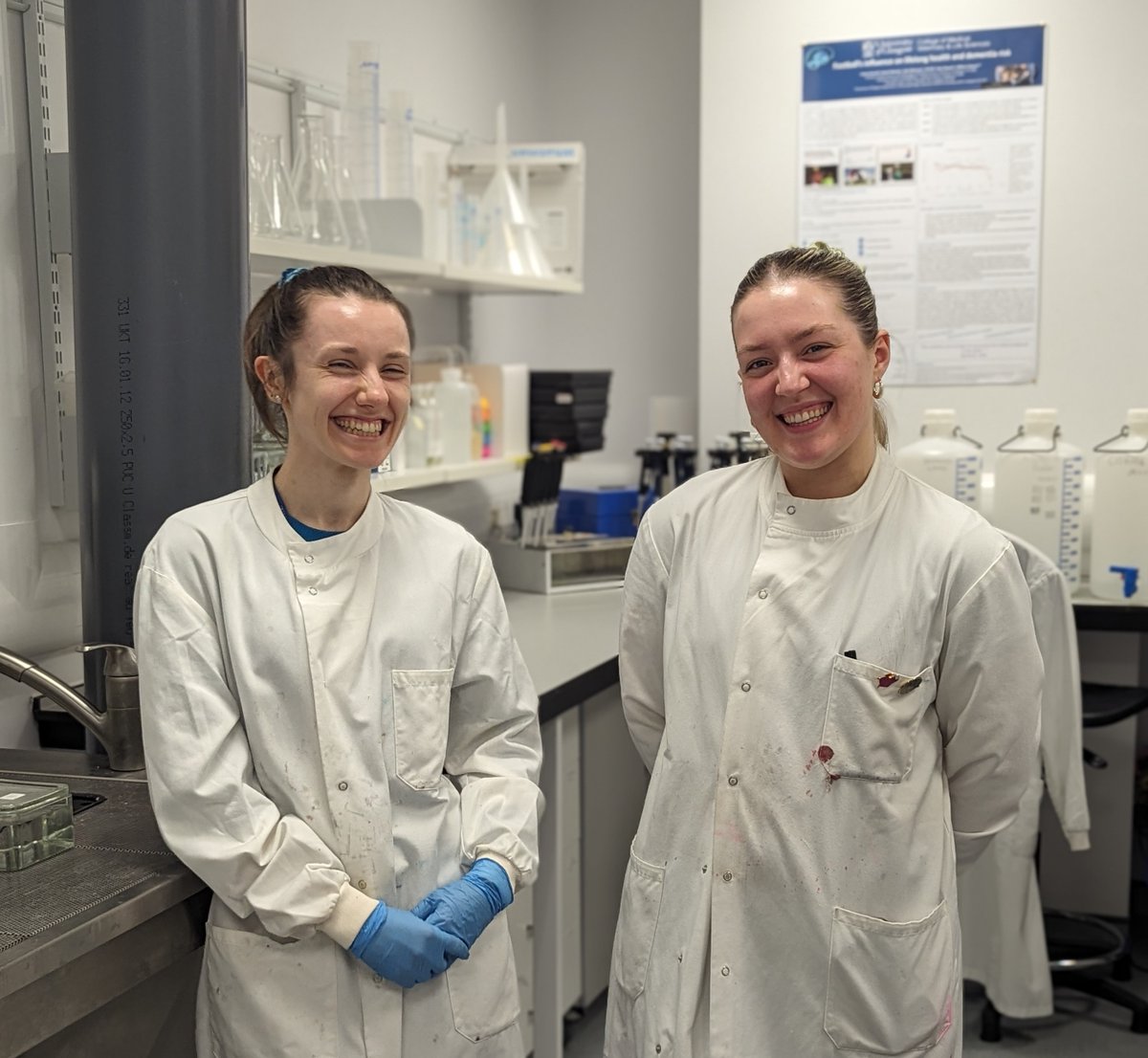 We are thrilled to introduce the newest member of Team GBIRG, Lauren Black! She joins us as a Research Associate and has truly hit the ground running - watch this space...!
For all the latest GBIRG activities, see the latest news page on our website: gbirg.inp.gla.ac.uk/?page_id=23