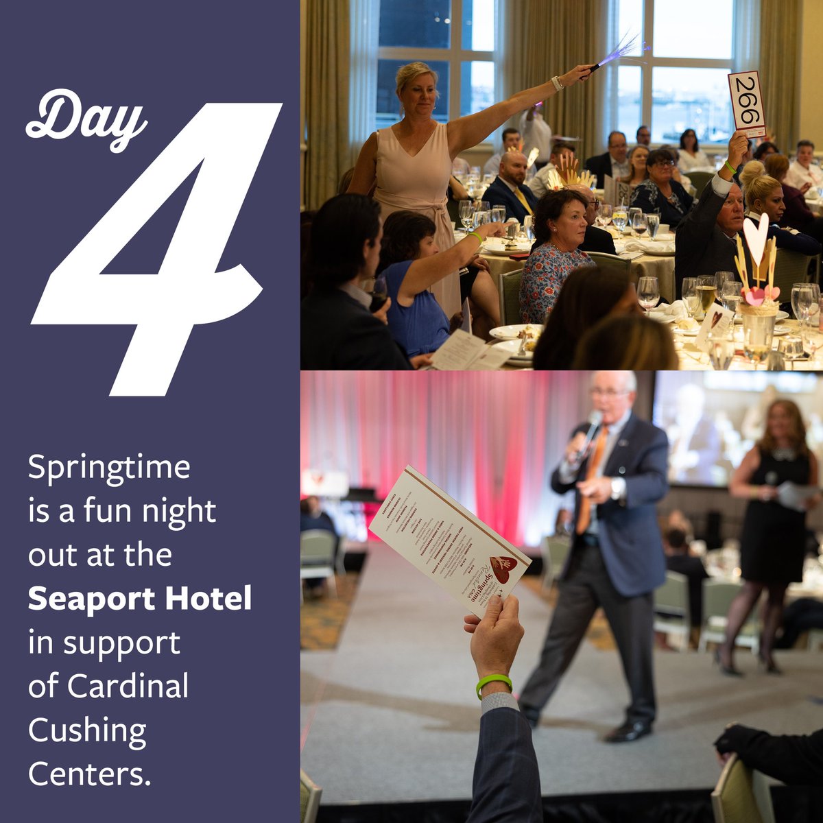 It’s official – the countdown to Springtime is on! Here are some of the reasons we are excited for this Thursday, May 23rd.

We can’t wait to see all of our friends and supporters for a fun, high energy night!
 
To make a gift to Springtime, please visit springtimegala.org.