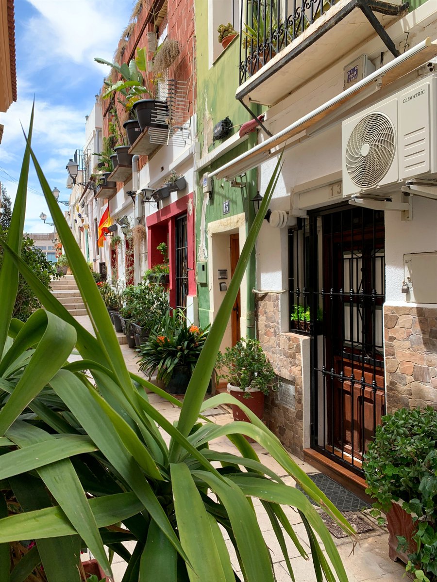 Discover the charm of Barrio Santa Cruz! 🏘️✨ Its lively and picturesque streets are filled with  colored houses, some adorned with beautifultiles and precious flowers. #Alicante #AlicanteCity #AlicanteTourism