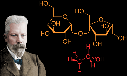 На денешен ден,1860 година е роден Eduard Buchner, добитник на Нобеловата награда за хемија (1907) за откритието дека ферментацијата на јаглехидратите е резултат на дејството на ензими содржани во квасецот,а не самата клетка на квасецот.