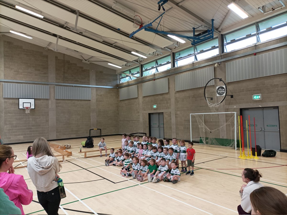 TOWN TIGERS colour's looking good at nursery 🐯🐯🐯🐅🐅🐅🐅 <a href="/PortlaoiseGAA/">Portlaoise GAA</a> @GamesLaois