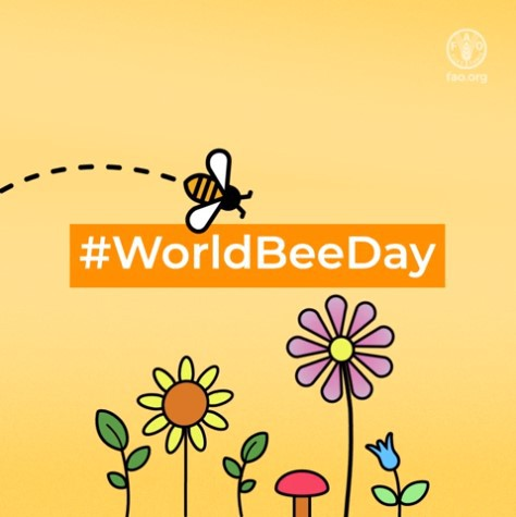 On this #WorldBeeDay, developing beekeeping programmes for youth can help identify emerging talents in apicultural research & cultivate their leadership, research, extension & project management skills. Our existence depends on bees & other pollinators. #SavetheBees @FAONigeria