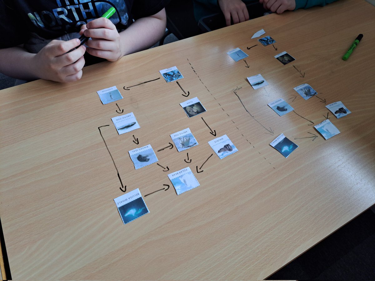 @OVPS Miss Jones tweet media