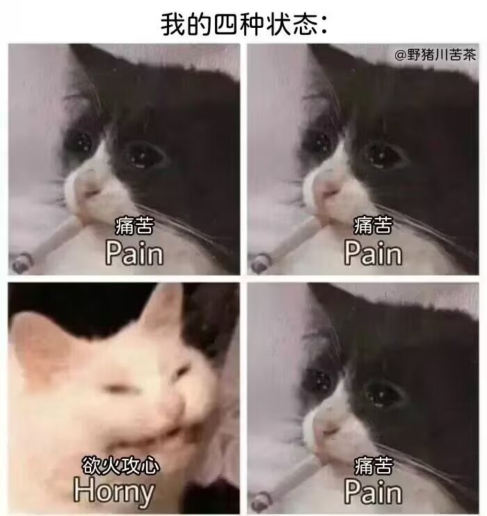 hatadanna's tweet photo. 😭 https://t.co/M5XKECx4mb