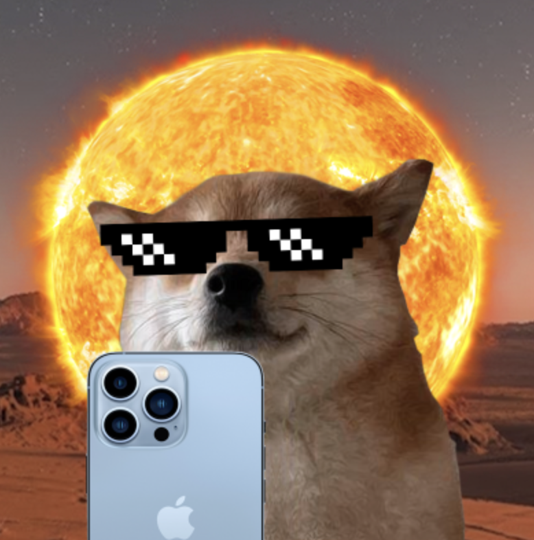 $SELFIE - Why it will WIN the viral race and become the $WIF beta play in 2024:

✅ 1. #Dogs are the most popular animal species on social media the term #dog has been used 140 million times and counting on IG alone...

✅ 2. #Smartphone ubiquity and its impact on social