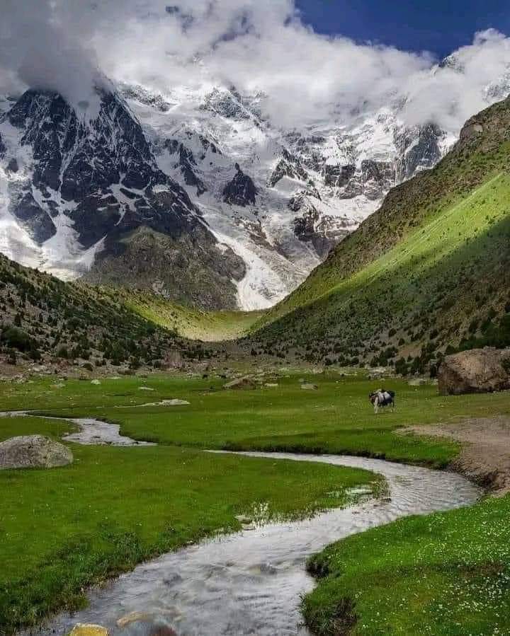 Basho jungle Baltistan 🏞❤ #ExploreTheWorld