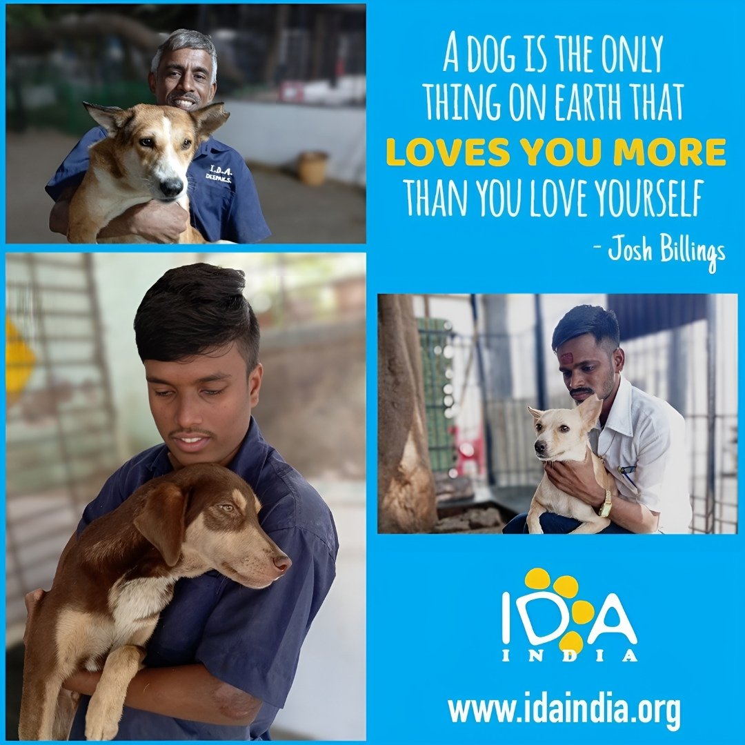 ✨ Get ready to kickstart your week with a dose of #MondayMotivation from IDA India! 💪 Stay tuned every Monday for a boost of inspiration and positivity. #IDAIndia #MotivationMonday #StayInspired #animalwelfare #animalprotection #animallover #animalrescue #animals #dog