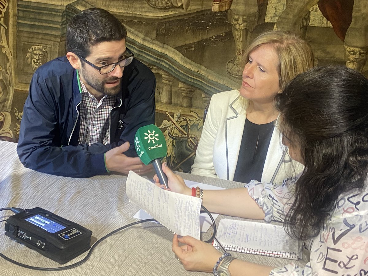 Universidad Loyola tweet media