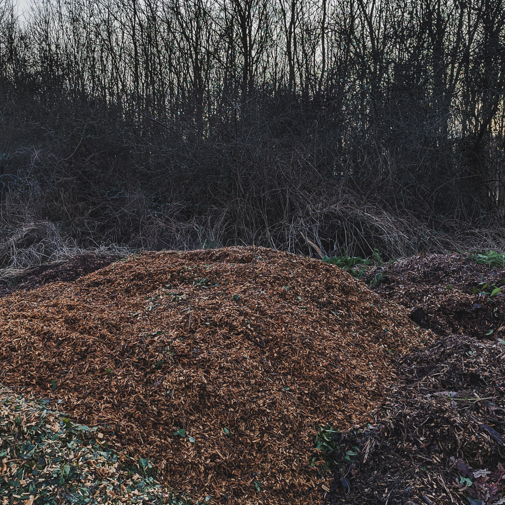 Back2GoodLife's tweet image. 🌧️ Rainy day garden tip: Turn your compost for more green goodness! How do you compost? #compostingtips #backtothegoodlife #rainydayactivities #gardeningtips #sustainablepractices