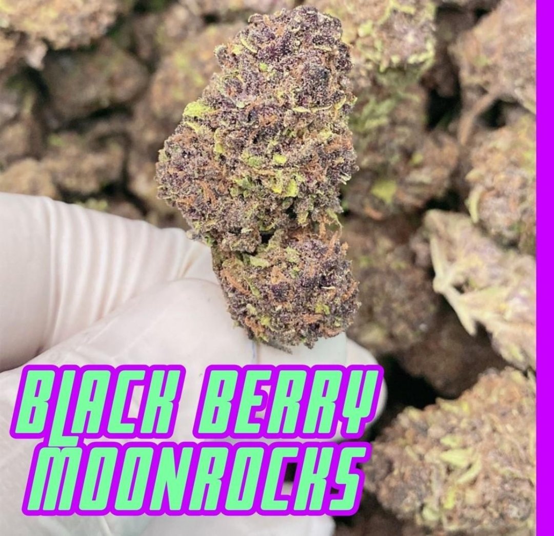 viewkim's tweet image. 𝗕𝗹𝗮𝗰𝗸𝗯𝗲𝗿𝗿𝘆  𝗠𝗼𝗼𝗻𝗿𝗼𝗰k
10 g - 500
20 g - 1000
30 g - 1500
50 g - 2000
100g - 4000
line viewson5x ส่งฟรีทั่วไทย มาเลยครับ
#กัญชา #LevisTHxBUS #BruceSpringsteen #FuryUsyk #CERUSG #GGRMC #ALoveSoBeautifulTH #LevisTHxBUS #FuryUsyk #PrimeroDios #aespa_Supernova_1st_RAK