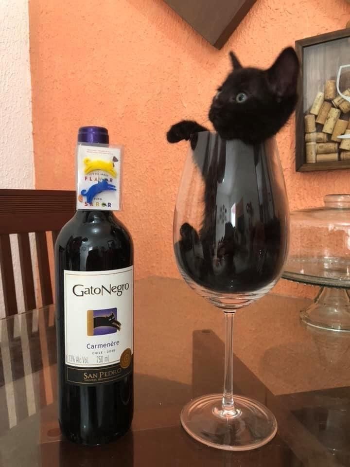 blackscats's tweet photo. https://t.co/DwtQSboK7E