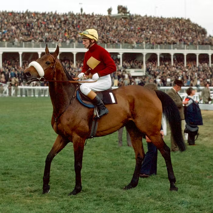 The greatest story in horse racing history:

The story of Red Rum.

Here’s how a 12-year-old racehorse with a terrible foot condition became a legend: