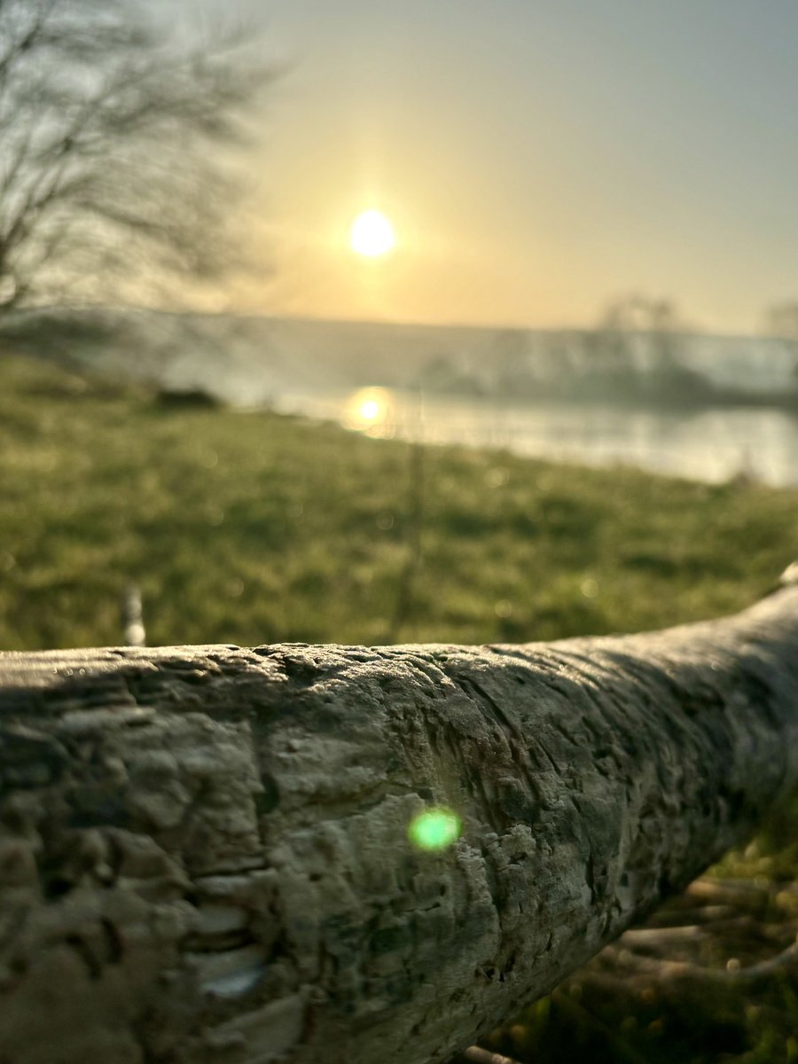 linde_h20's tweet photo. #sonnenuntergang #sunset #nature  #naturephotography #landscape #sonne #sky #photography  #abendstimmung #sunsetphotography #landschaftsfotografie #naturfotografie #landscapephotography #fotografie #sunsetlovers #germany #sun #sunsetlover #sundown #himmel #sunrise #landschaft https://t.co/vkldwHsUQw