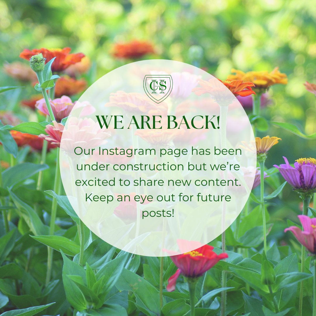 Our Instagram page is now back up and running. Keep an eye out for future posts! 
. 
#growchiswick #chiswick #chiswickcommunity #chiswickhorticulturalsociety #horticulture #growyourown #gardening #hounslowcouncil #hounslow #allotmentuk