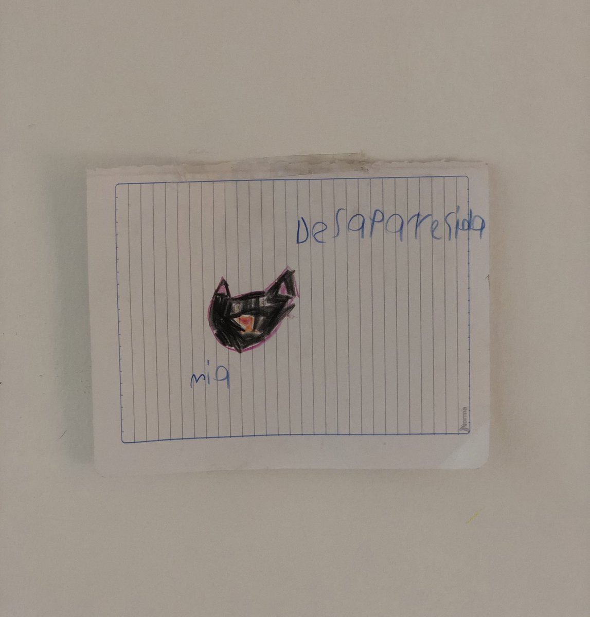 arwenbluu's tweet photo. A una nena del edificio se le perdió su gata anoche. Estuvo preguntando en todos los apartamentos si la habíamos visto. 

Hoy, amaneció el retrato hablado de la desaparecida. 

Noticia en desarrollo https://t.co/AHNh0MlCYI