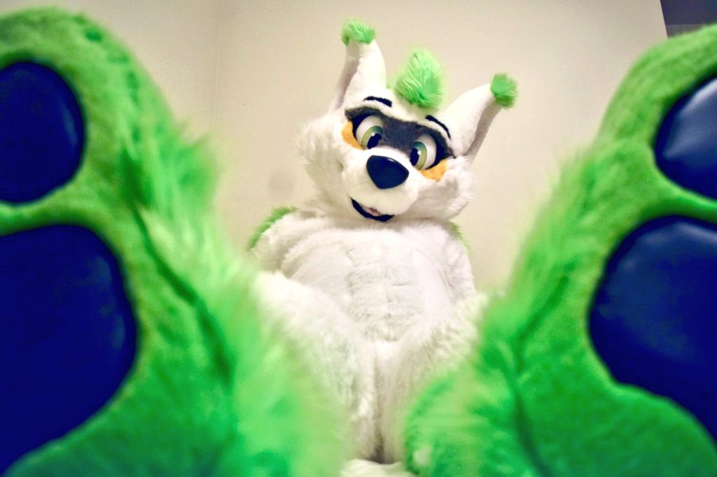 Roll that beautiful bean footage! Happy #pawday ! 🪡: @WaggeryCos
