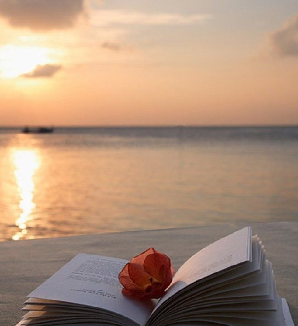 Palabras tweet media