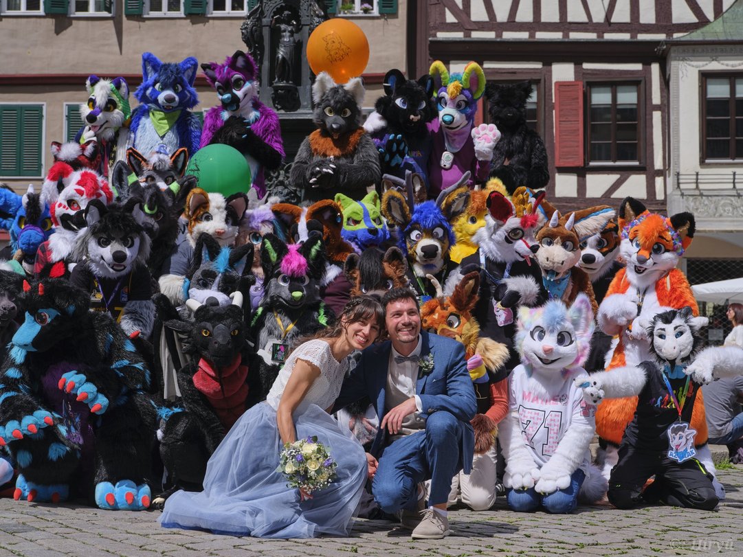 Enjoy this picture from the fursuit walk in Tübingen featuring a bride and groom photobombing the group picture.

 📸 @HiryuTheDragon 
📍 Tübingen