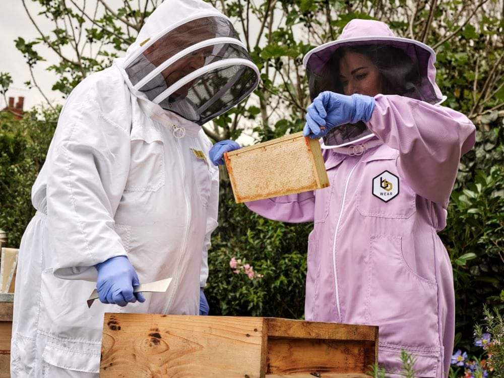 Today, on World Bee Day, online supermarket Ocado has launched a nationwide competition, to celebrate back garden beekeepers and find the finest small-scale produced honey in the UK, with help from Nigella Lawson and the British Beekeepers Association (BBKA).