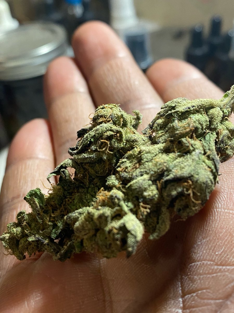 HEMPDey's tweet photo. #cannabisnewsandhotchicks
can you guessthis strain? https://t.co/q8Z712vW0M
