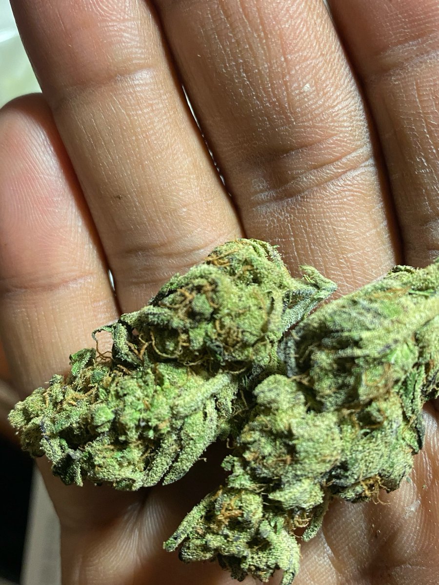 HEMPDey's tweet photo. #cannabisnewsandhotchicks
can you guessthis strain? https://t.co/q8Z712vW0M