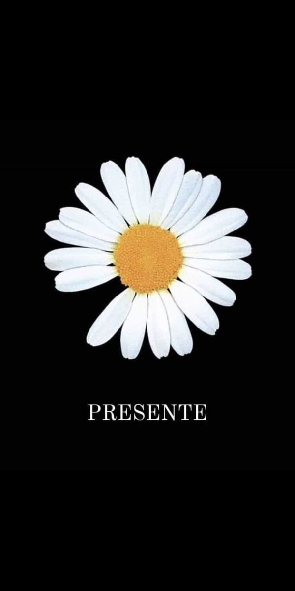 Juan Pablo Labat (@jplabat28) on Twitter photo 