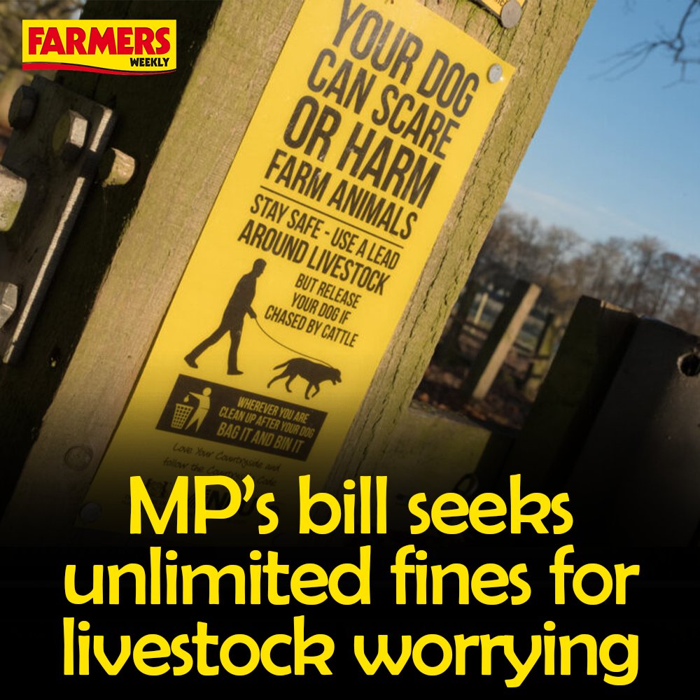 🐶 MPs have backed plans to give police greater powers to respond to livestock worrying incidents and tougher penalties for offenders. READ MORE: fwi.co.uk/livestock/mps-…