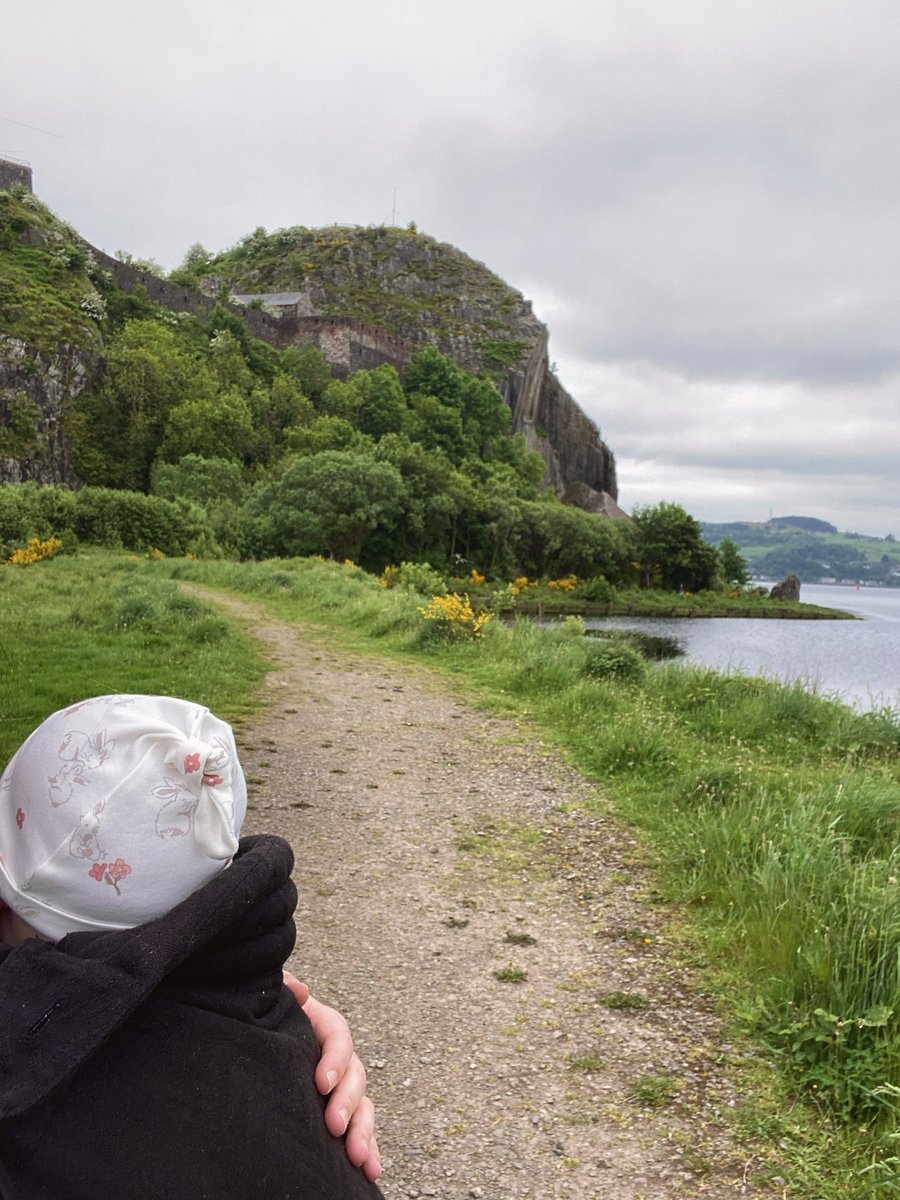 Dr Pamela Campbell tweet media