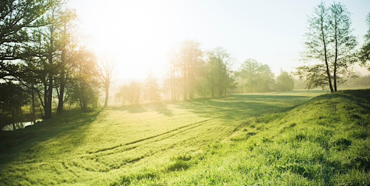 Learn more about the benefits of nature for our wellbeing, and learn easy self-help tips to include more nature in your daily life! 🗓️ 30 May from 2pm to 3pm. 📍Paddington Library. 🔗 bit.ly/3ylNmFs